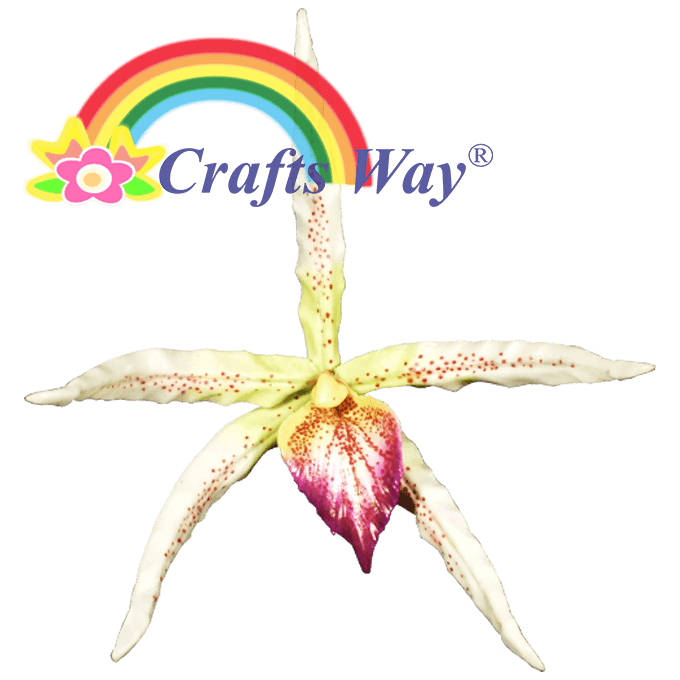 LX-302 Artificial Latex Orchid Flower (Type B) C1