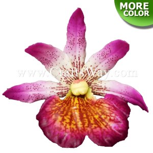 LX-311 Artificial Latex Orchid Flower (Type K)