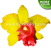 SK201 Artificial Silk Orchid Flowers (Type A)