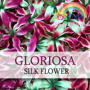 Gloriosa