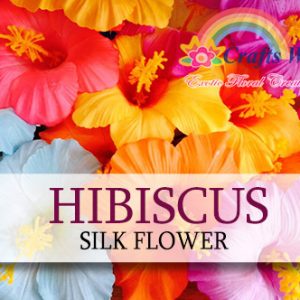 Hibiscus