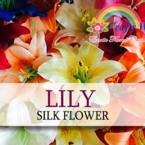 Lily