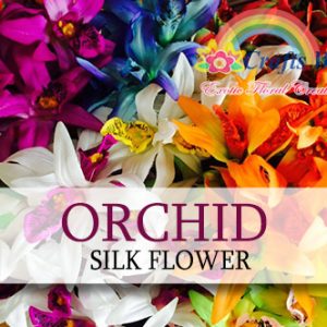 Orchid