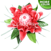 CMS-014 Custom Made Flower Hairpiece, Torch Ginger Hair Clip