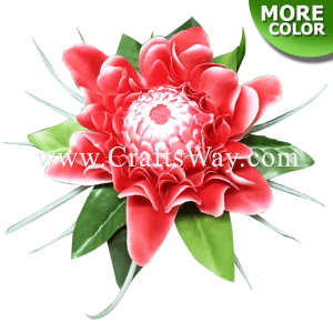 CMS-014 Custom Made Flower Hairpiece, Torch Ginger Hair Clip