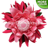 CMS-022 Custom Made Flower Hairpiece, Torch Ginger & Spider Lily Hair Clip