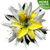 CMS-038 Custom Made Flower Hairpiece, Lily & Spider Lily Hair Clip
