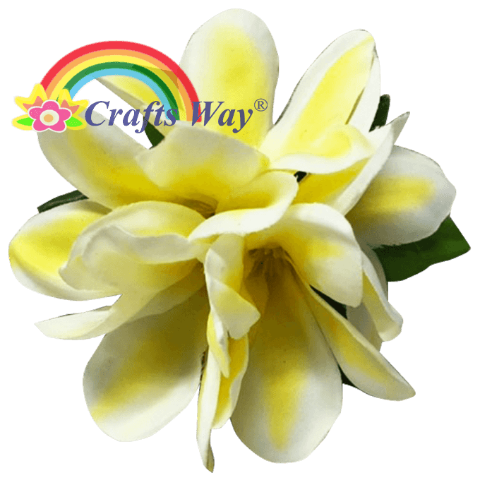 #01 White/ Yellow