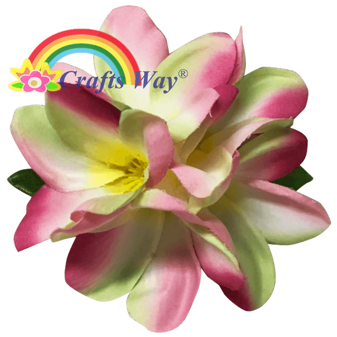#02 White/ Green/ Pink