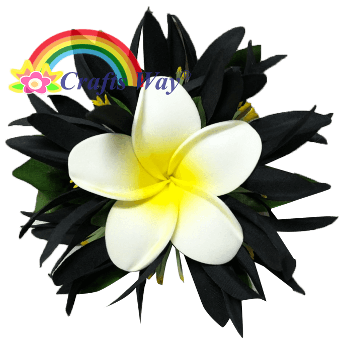 #18 Black
