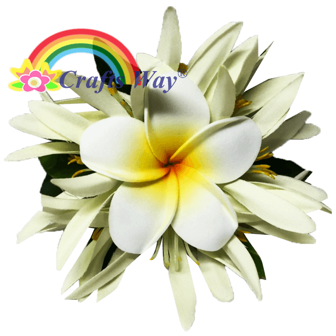 #06 White