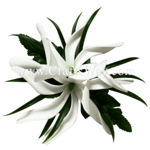 CMS-060 Custom Made Flower Hairpiece, White Foam Tiare (BU) Hair Clip