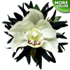CMS-062 Custom Made Flower Hairpiece, Silk Spider Lily & Cymbidium Orchid Hair Clip