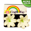 CYE-201 Artificial Clay Flower, Tiare Earrings