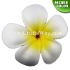 FSH102-Bulk Artificial Foam Plumeria Flowers (Type B)