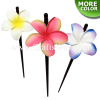 WD1F-101 Custom Made Flower Hairpiece, Plumeria (OI) Hair Stick