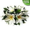 CML-001 Custom Made Flower Hairpiece, Plumeria Q (S) Hair Clip