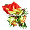 CML-003 Custom Made Flower Hairpiece, Cymbidium (A) & Anthurium Hair Clip