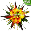 CML-008 Custom Made Flower Hairpiece, Ohai-Ali'i & Bird of Paradise Hair Clip