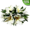 CML-029 Custom Made Flower Hairpiece, Plumeria (N) Hair Clip