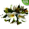 CML-040 Custom Made Flower Hairpiece, Plumeria Q (M) Hair Clip