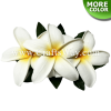 CMM-078 Custom Made Flower Hairpiece, Plumeria (GU) Hair Clip