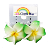 GFE1-06 Artificial Foam Flower, Plumeria Earrings #06 Green with yellow center