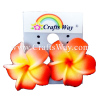 GFE1-10 Artificial Foam Flower, Plumeria Earrings #10 Red and yellow with red center
