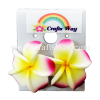 GFE1-21 Artificial Foam Flower, Plumeria Earrings #21 Pink with yellow center