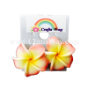 GFE1-47 Artificial Foam Flower, Plumeria Earrings #47 Peach with yellow center