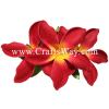 XMS-018 Custom Made Flower Hairpiece, Plumeria (CO) Hair Clip