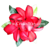 XMS-038 Custom Made Flower Hairpiece, Plumeria (Z) Hair Clip