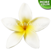 FSH115-Bulk Artificial Foam Plumeria Flowers (Type Q)