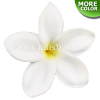 FSH127-Bulk Artificial Foam Plumeria Flowers (Type AI)
