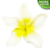 FSH149-Bulk Artificial Foam Plumeria Flowers (Type UU)