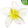 FSH150-Bulk Artificial Foam Plumeria Flowers (Type BA)