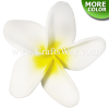 FSH151-Bulk Artificial Foam Plumeria Flowers (Type BE)