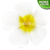 FSH155-Bulk Artificial Foam Plumeria Flowers (Type CA)