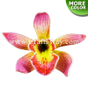 FSH305-L-Bulk Artificial Foam Orchid Flowers (Cymbidium Type DL)