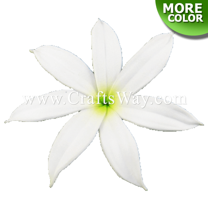 FSH421-Bulk Artificial Foam Tiare Flowers (Type W) FSH421-Bulk Artificial Foam Tiare Flowers (Type W)