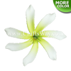 FSH425-Bulk Artificial Foam Tiare Flowers (Type AA)