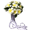WD-001 Wedding & Special Event, Plumeria Flower Bouquet