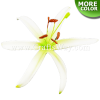 FSH802-Bulk Artificial Foam Spider Lily Flowers (Type A)