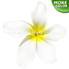FSH184 Artificial Foam Flowers, Plumeria Type KA, 5½ inches