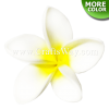 FSH186 Artificial Foam Flowers, Plumeria Type KI, 2½ inches