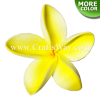FSH186 Artificial Foam Flowers, Plumeria Type KI, 2½ inches
