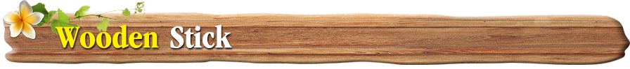 Wooden Hair Stick | CraftsWay.com
