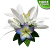 CMS-067 Foam Plumeria & Silk Spider Lily Hair Clip, Hairpiece Made in Hawaii, Hair Accessories for Hawaiian Wedding Items, Hula Dancer