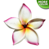 FSH168-Pearl Artificial Foam Flowers, Plumeria Type FO with Pearl, size 4 inches
