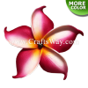 FSH175-Pearl Artificial Foam Flowers, Plumeria Type HE with Pearl, size 4 inches